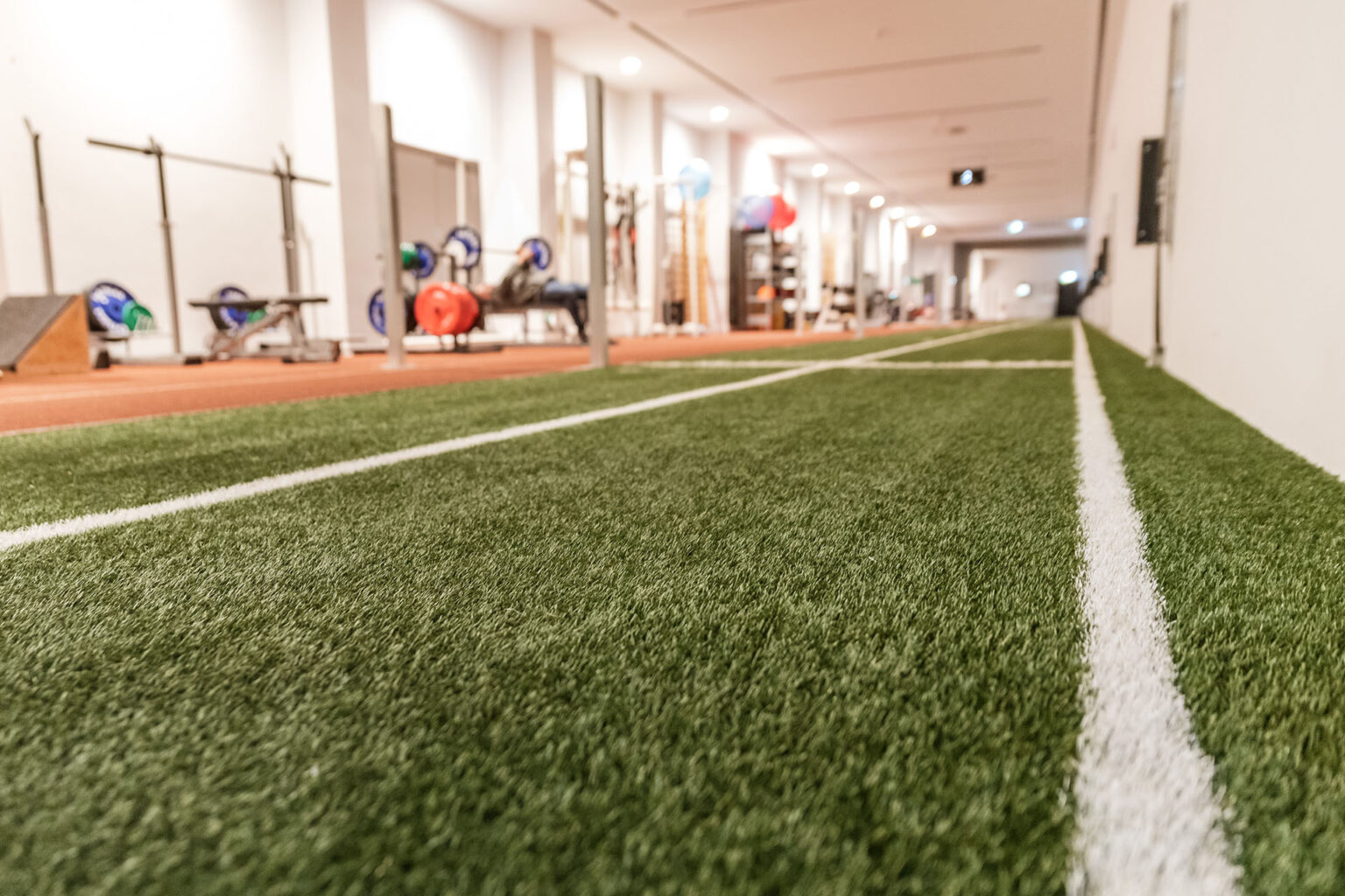 Indoor agility training turf installed next to weight lifting area