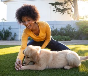 Discover why Raleigh homeowners are switching to artificial grass. Save $400+ yearly on water bills, skip weekend mowing, and enjoy a lush lawn year-round.