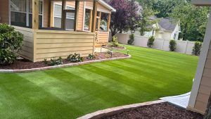 Backyard artificial lawn in raleigh nc
